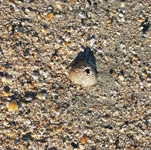 Meet your Posher, Melisa